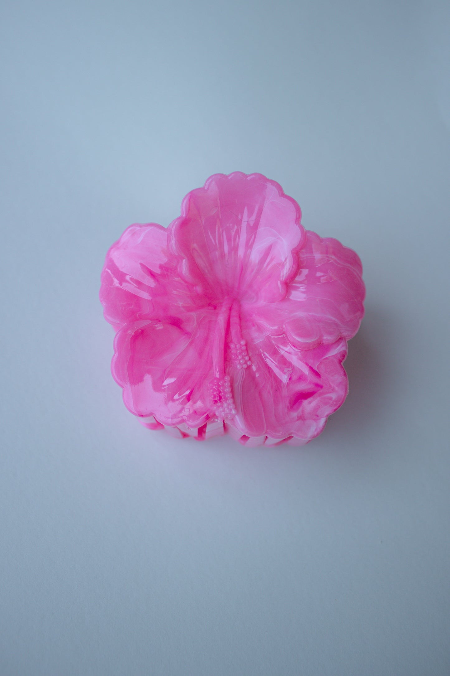 Hibiscus Bloom