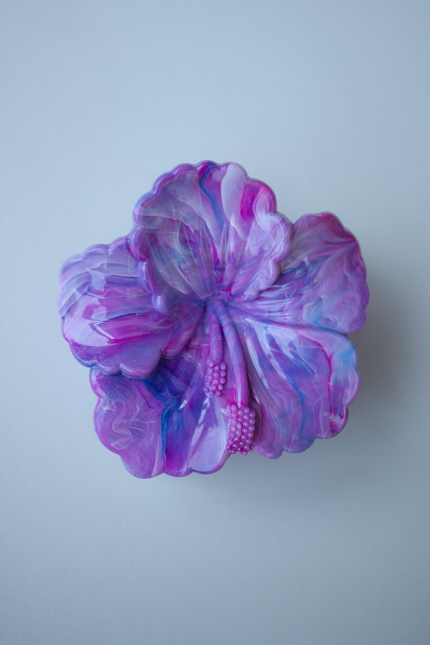 Hibiscus Bloom