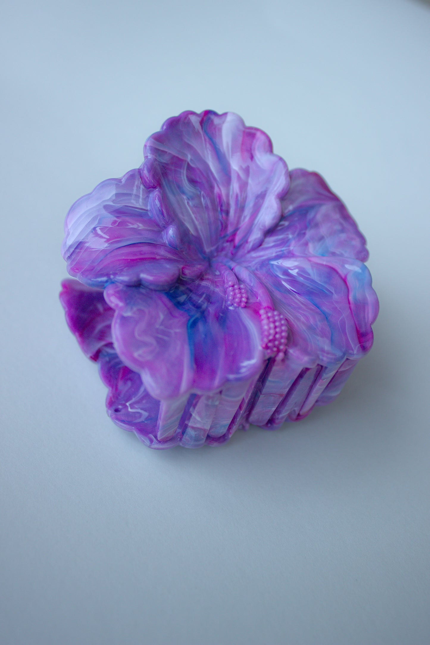 Hibiscus Bloom
