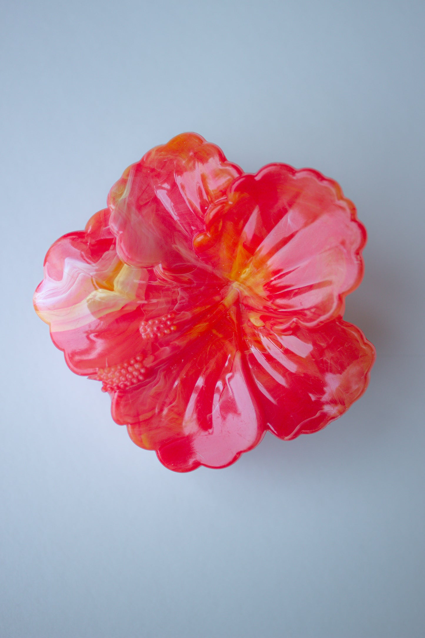 Hibiscus Bloom