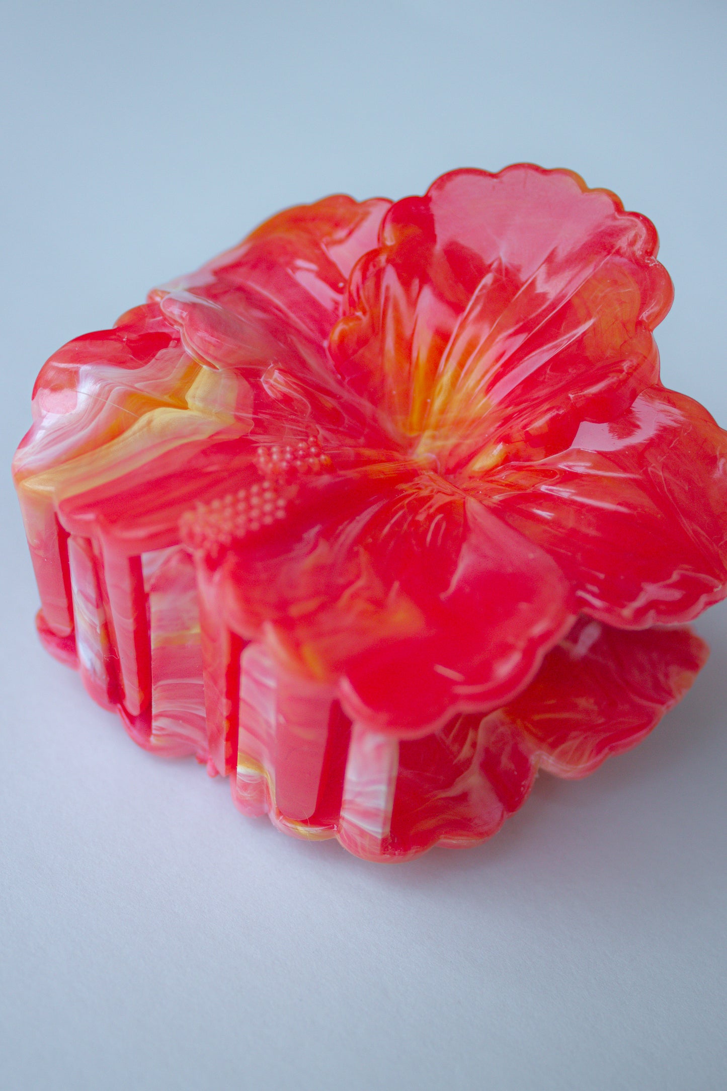 Hibiscus Bloom