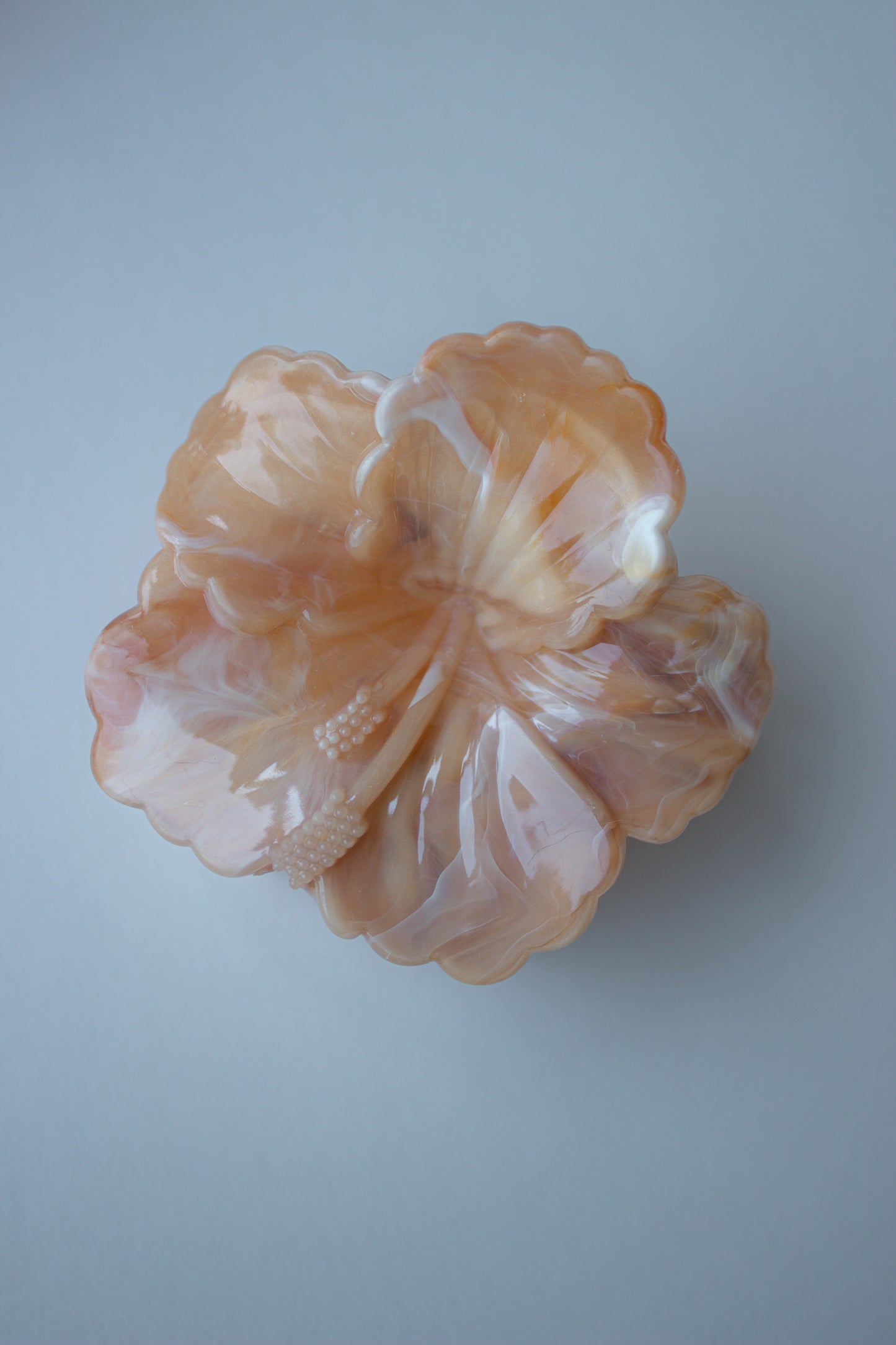 Hibiscus Bloom