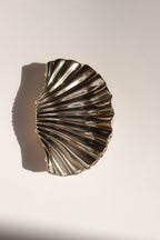 The Coastal Claw