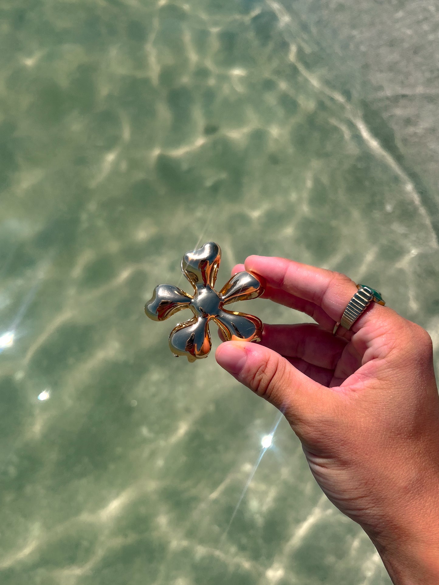 The Costal Bloom