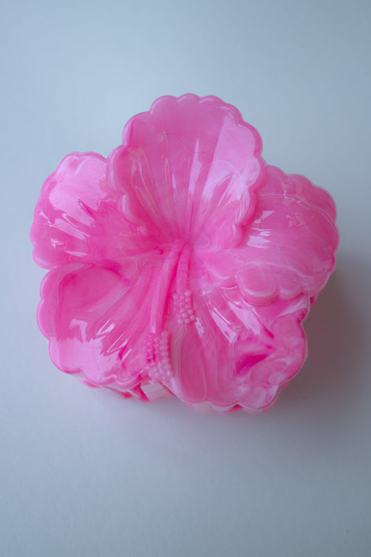 Hibiscus Bloom
