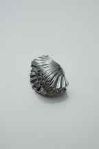 The Coastal Claw